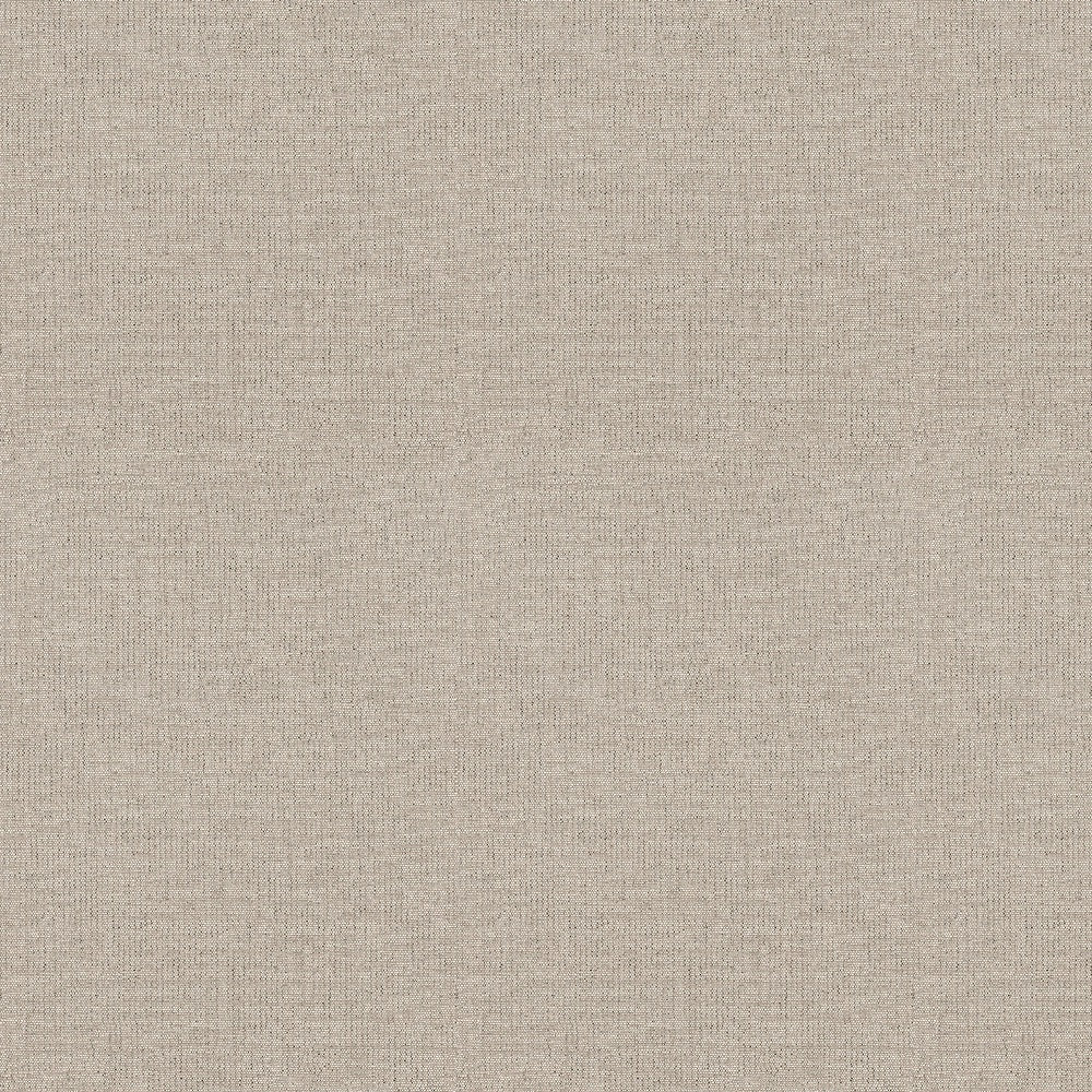 Ale 03