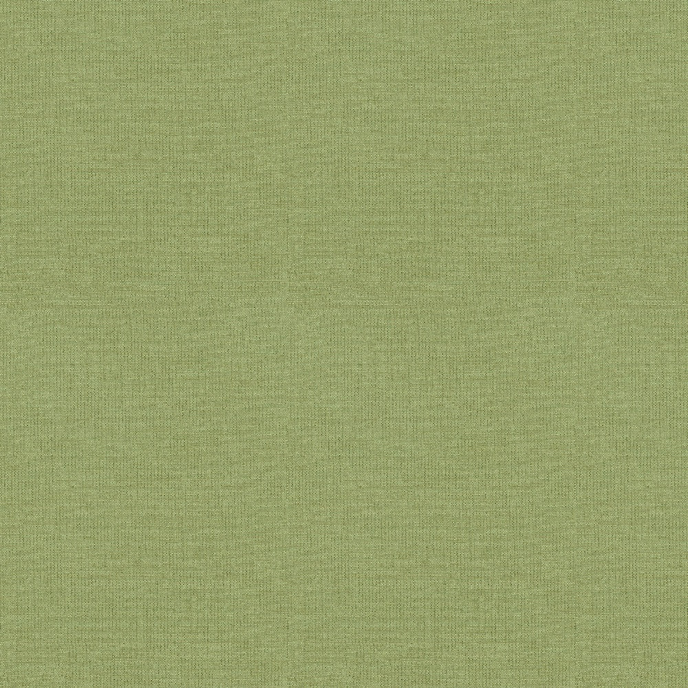 Ale 12