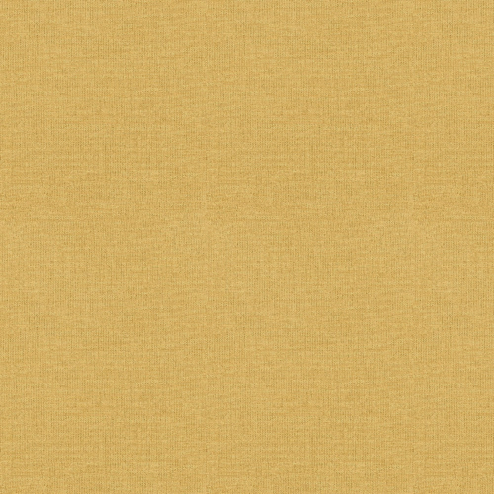 Ale 13