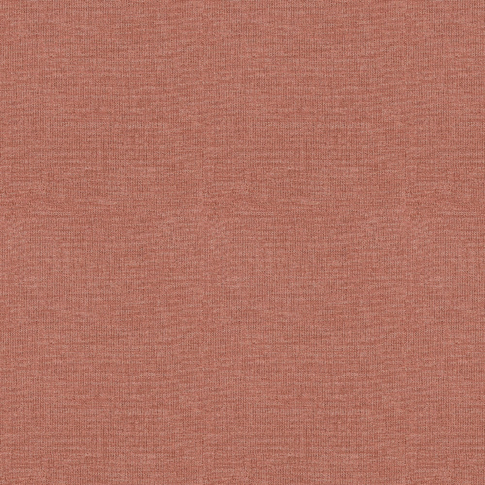 Ale 18