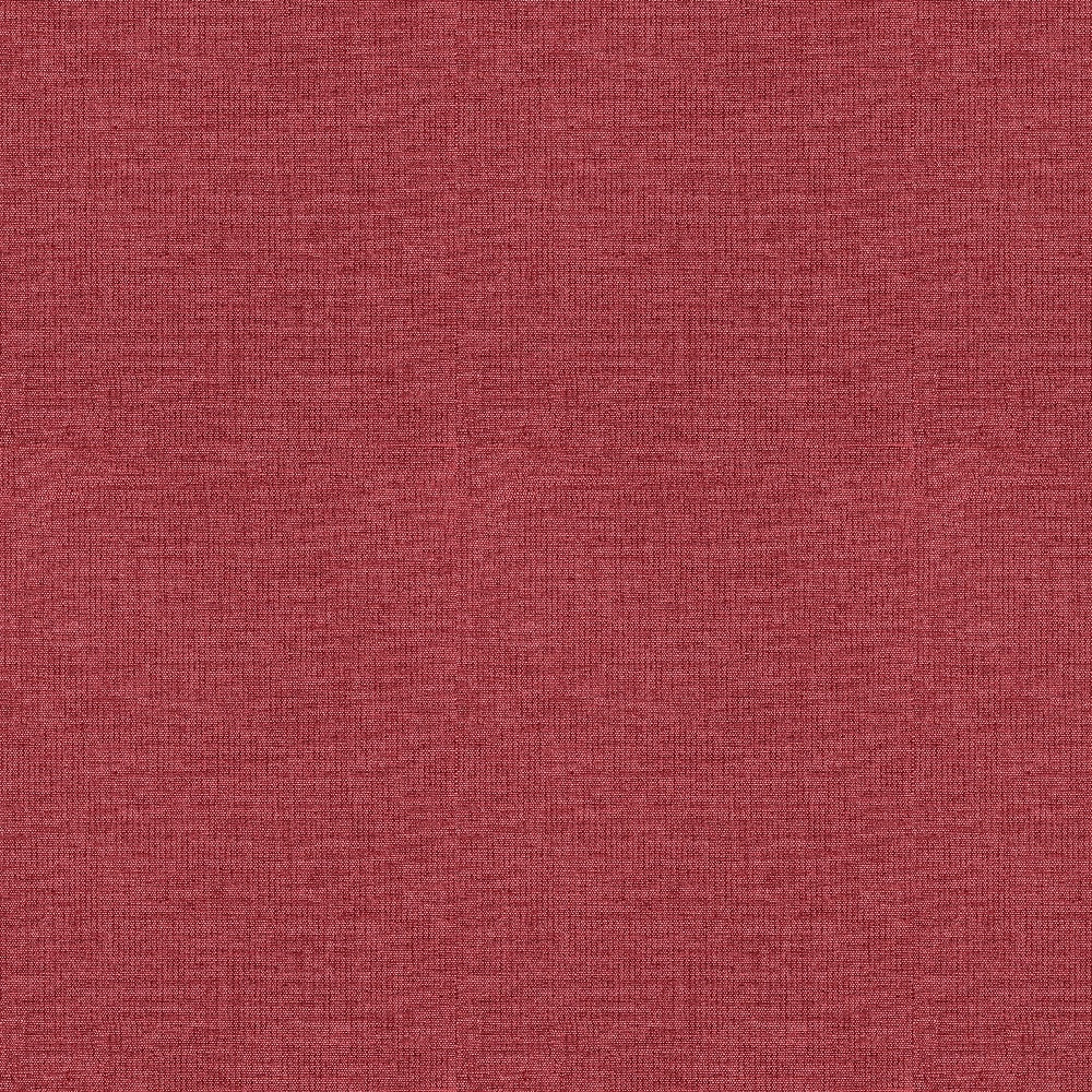 Ale 19