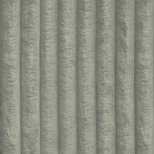 Tilia 11